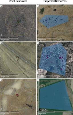 Scavengers use natural and anthropogenic resources connecting protected areas with surrounding lands